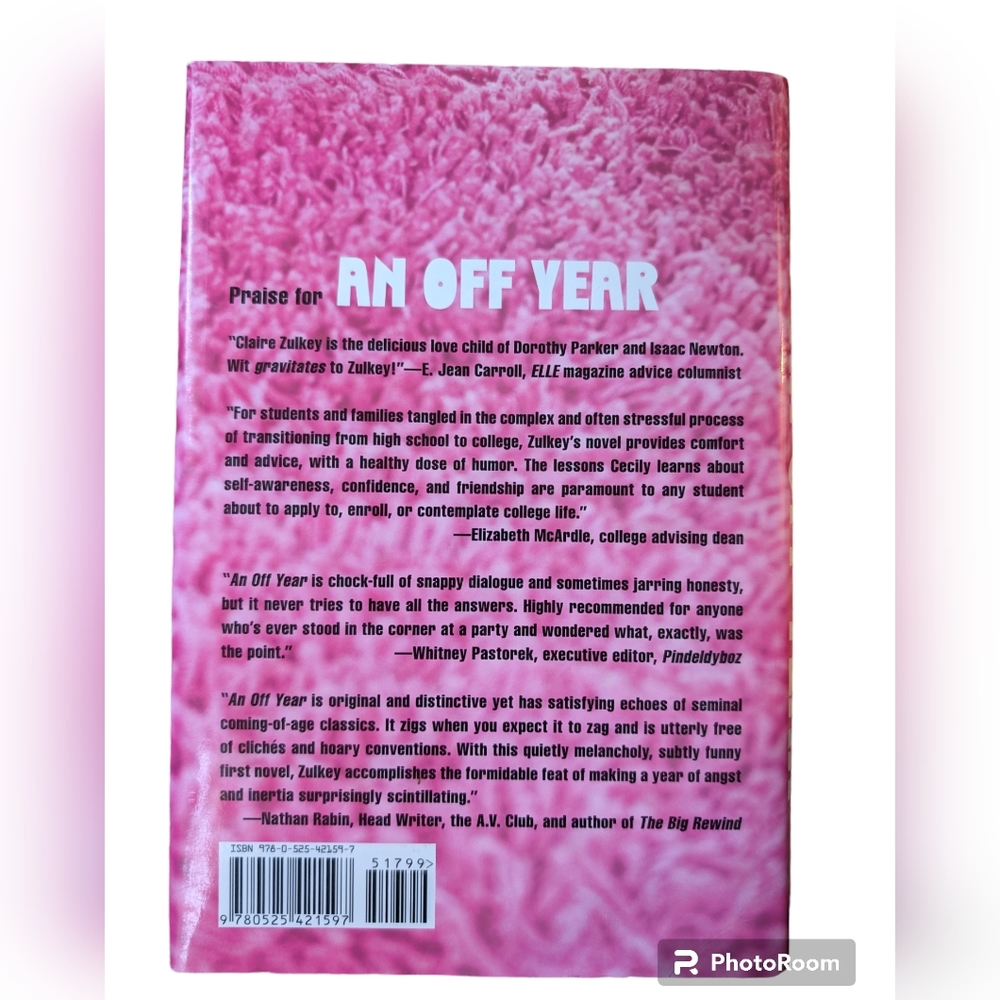 An Off Year by Claire Zulkey Hardback Book - Picture 2 of 6